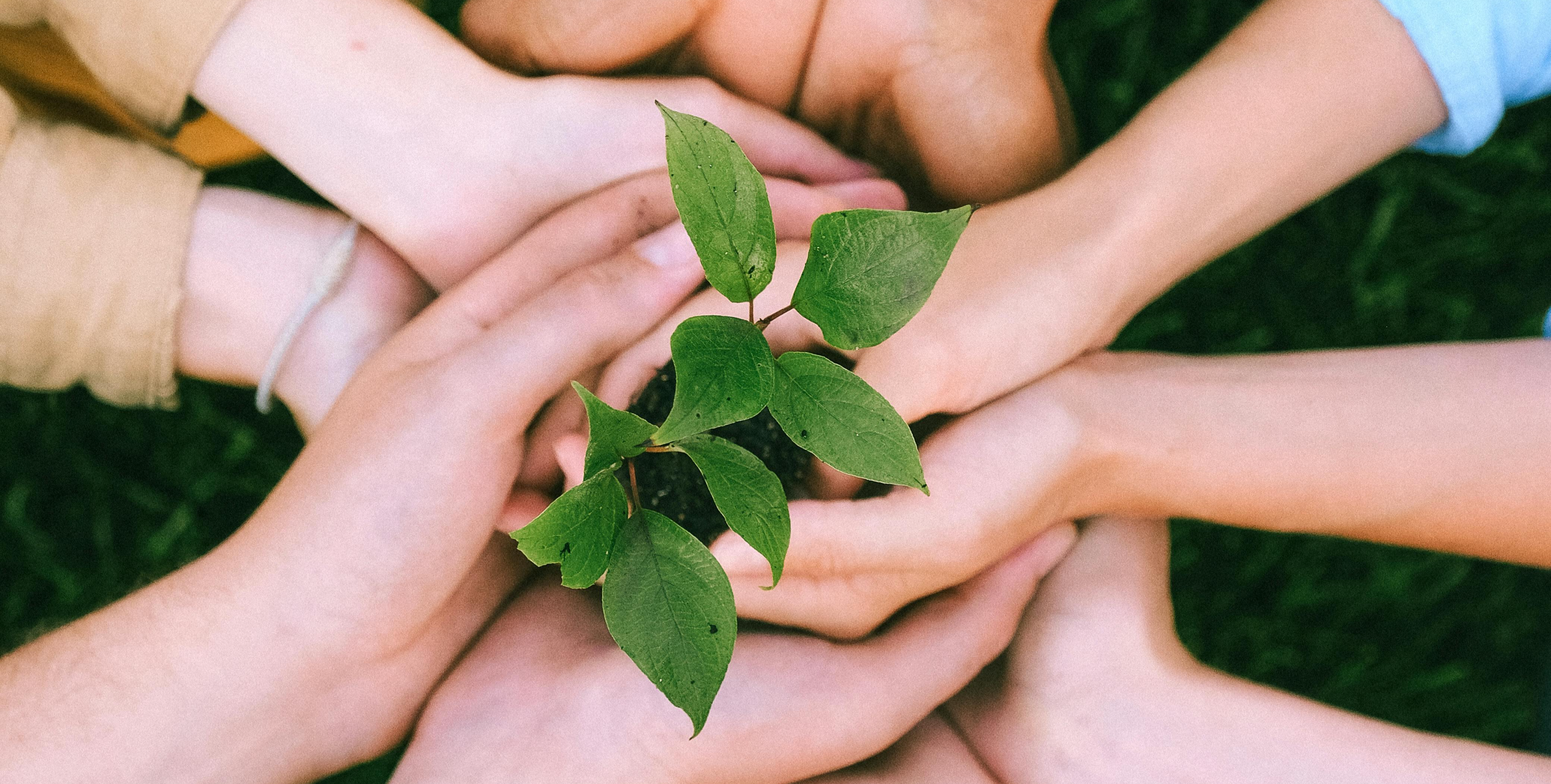 Banner image