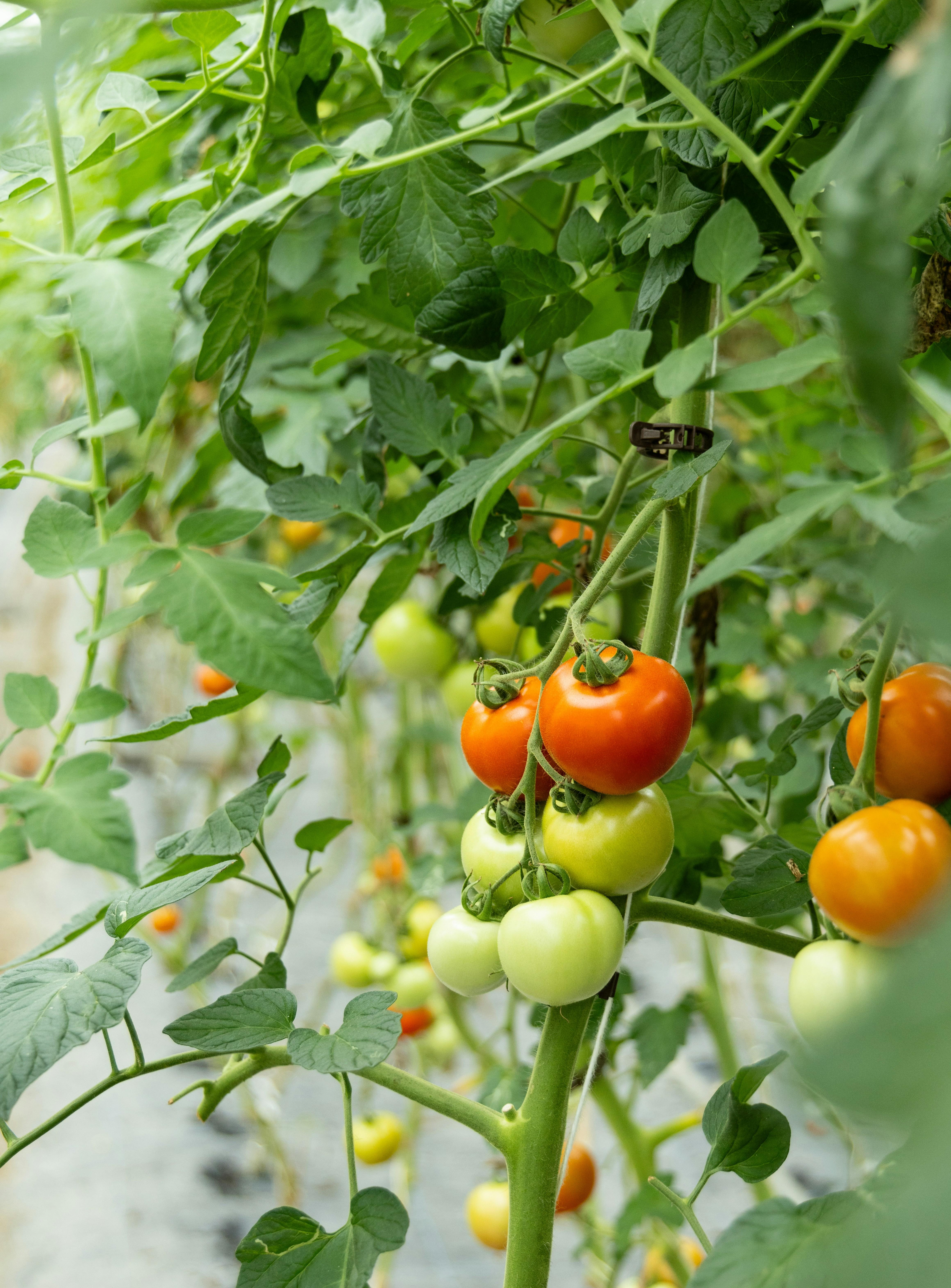 1. Trusted farms