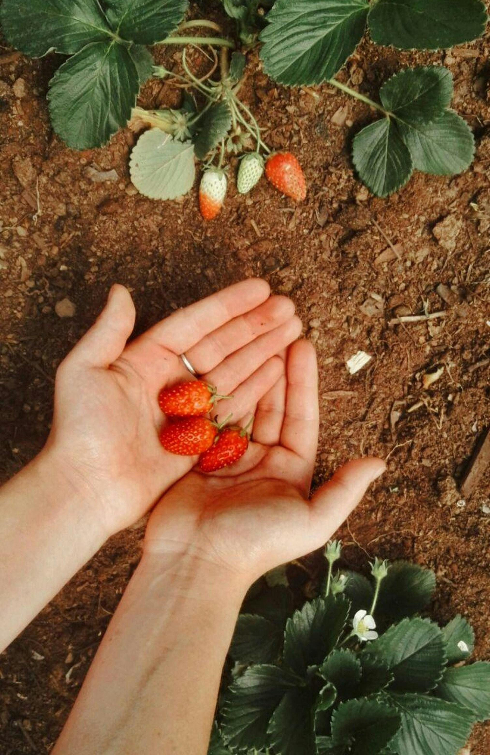 2. Careful handling