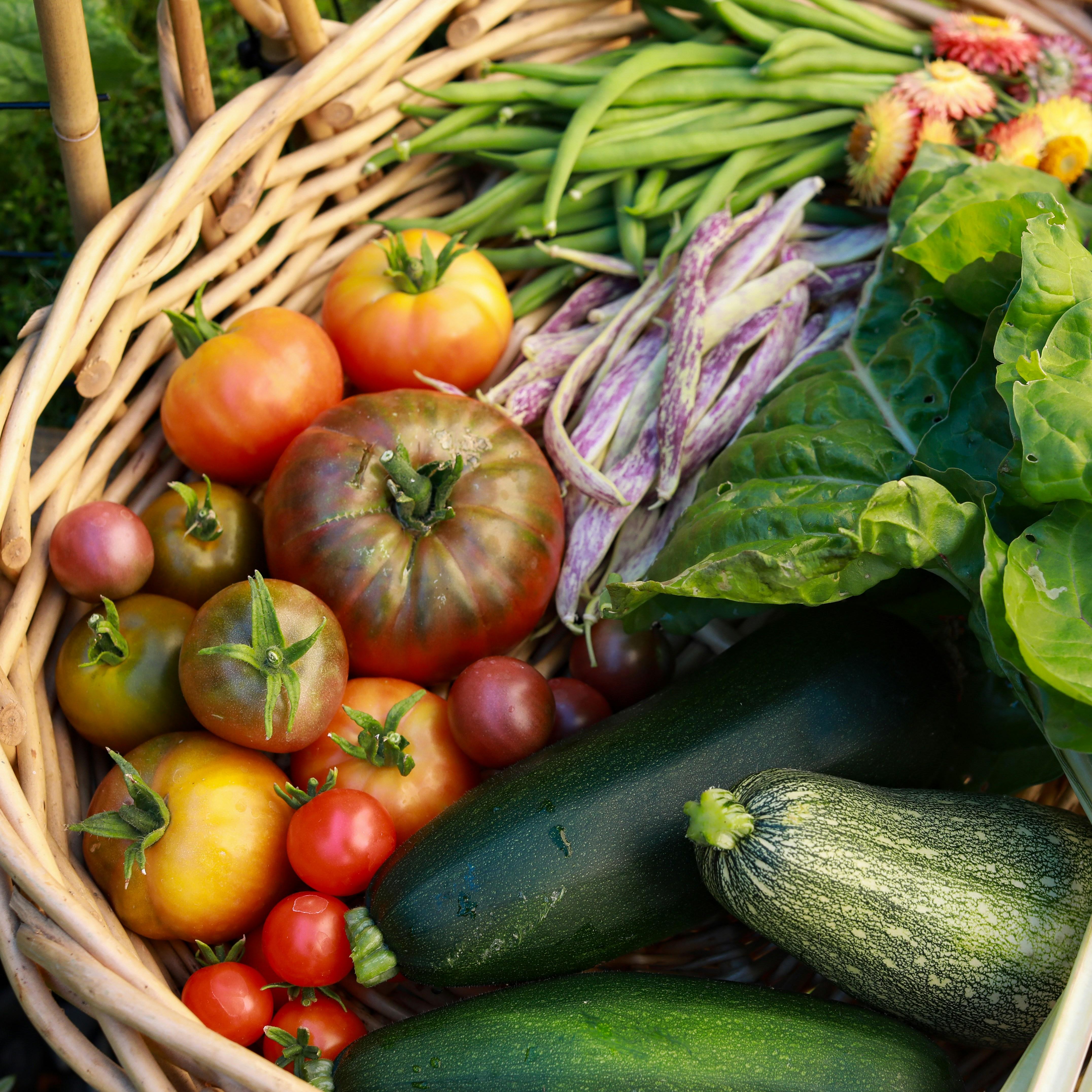 3. Sustainable practices