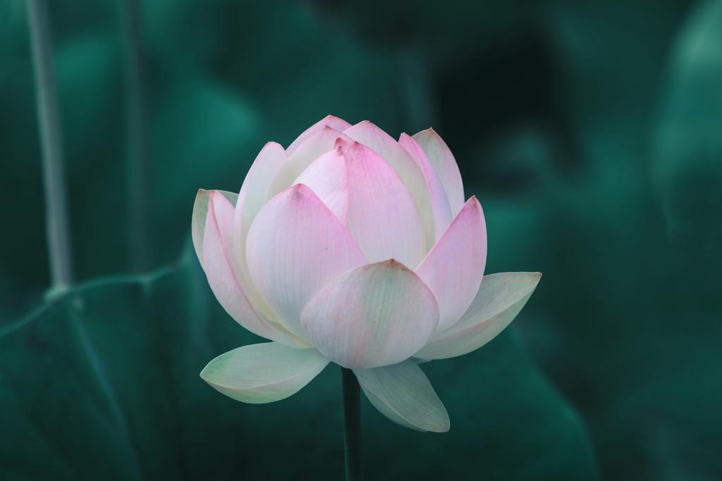 Spirituality
